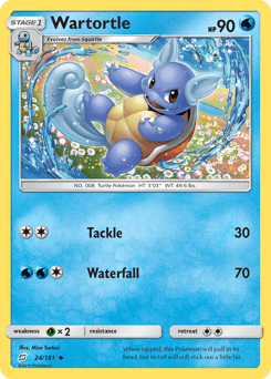 Wartortle #24