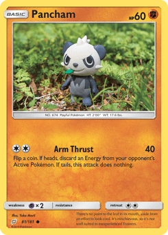 Pancham #81