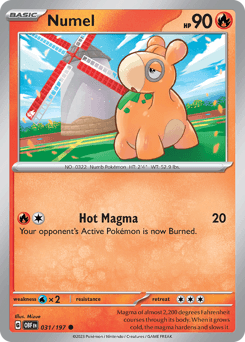 Numel #31