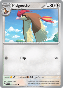 Pidgeotto #17