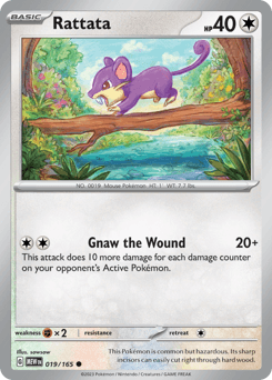 Rattata #19