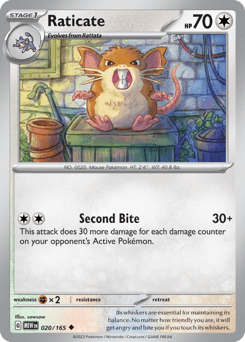 Raticate #20