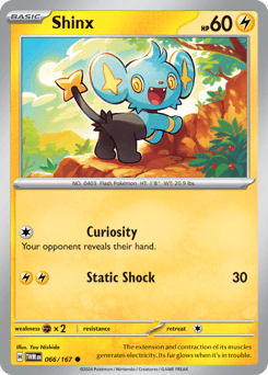 Shinx #66