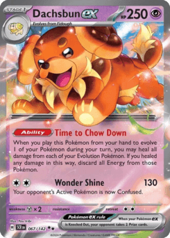 Dachsbun ex #67