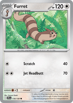 Furret #119