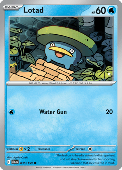Lotad #35