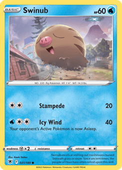 Swinub #31