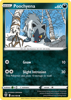 Poochyena #95