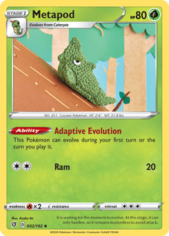 Metapod #2