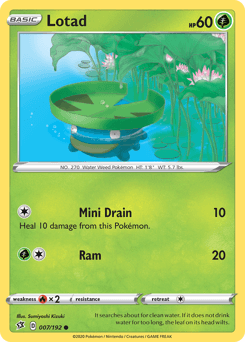 Lotad #7