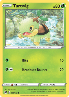Turtwig #6