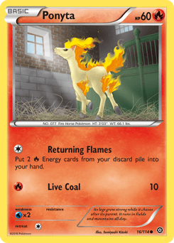 Ponyta #16