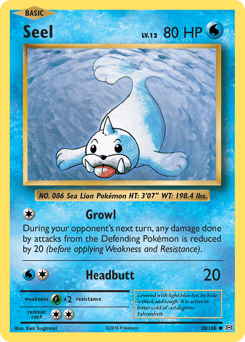 Seel #28