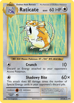 Raticate #67