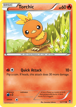 Torchic #12
