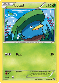 Lotad #10