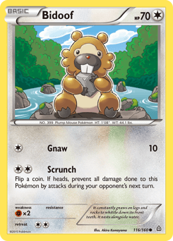 Bidoof #116
