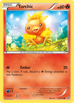 Torchic #25