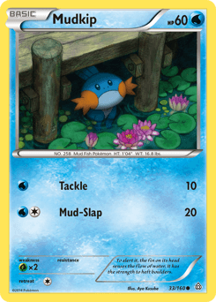 Mudkip #33