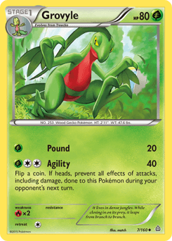 Grovyle #7