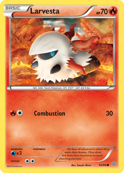 Larvesta #16