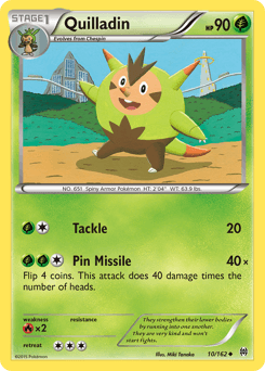 Quilladin #10