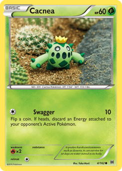 Cacnea #4
