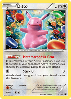 Ditto #XY40